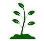 popup-images