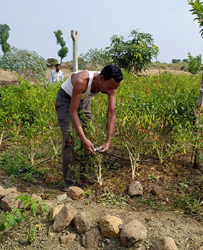 Climate Impact Management - L&T Finance