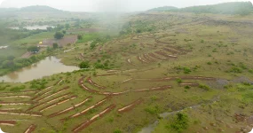 Climate Impact Management