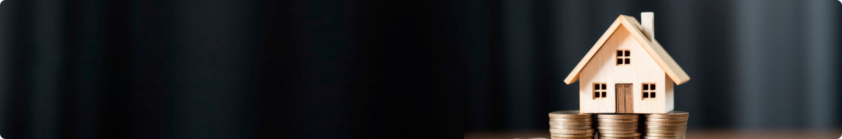 Professional Loan EMI Calculator